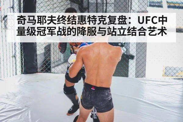奇马耶夫终结惠特克复盘：UFC中量级冠军战的降服与站立结合艺术